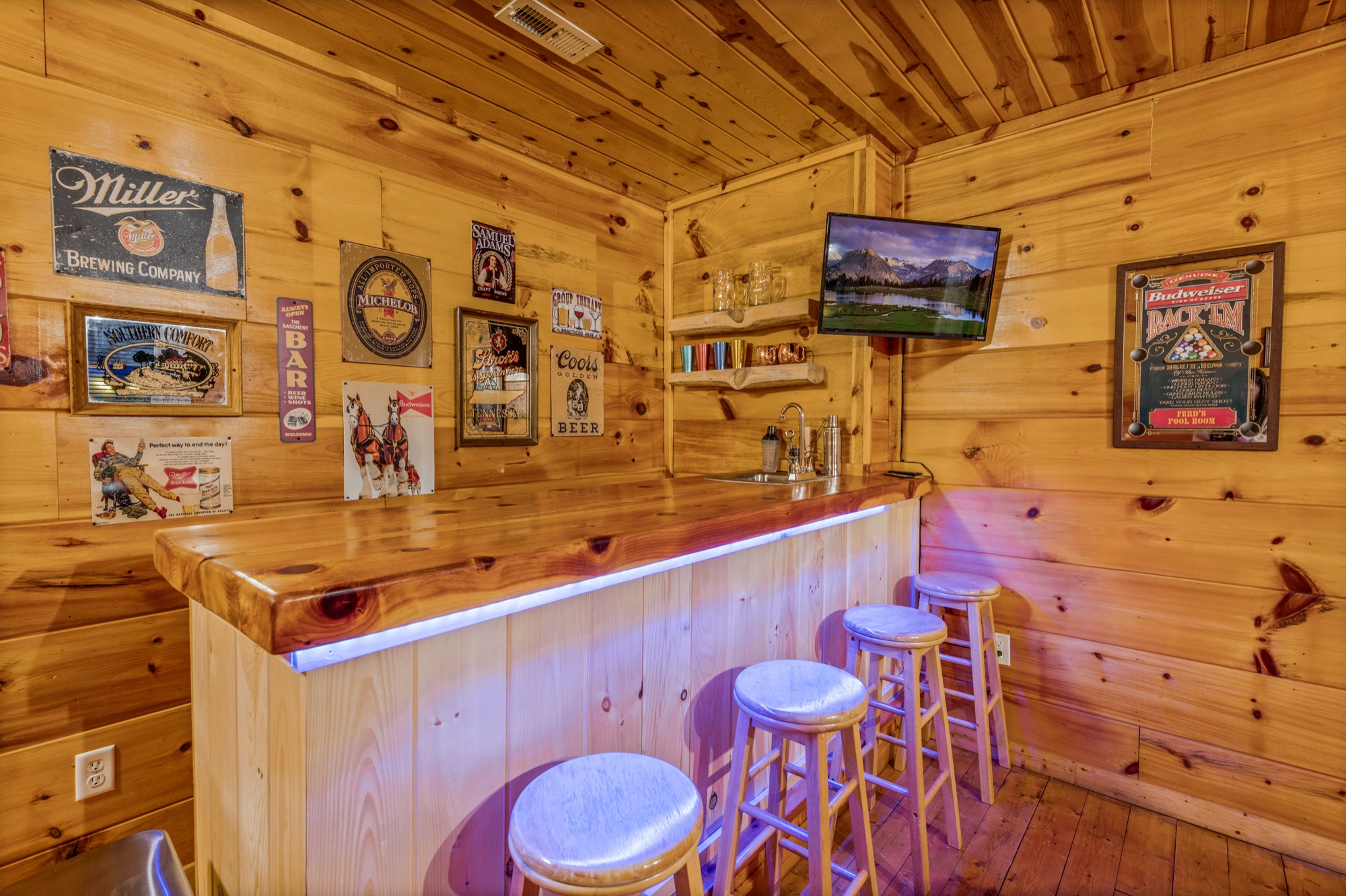 Bearadise wet bar with vintage beer signage, a sink, and a mounted TV
